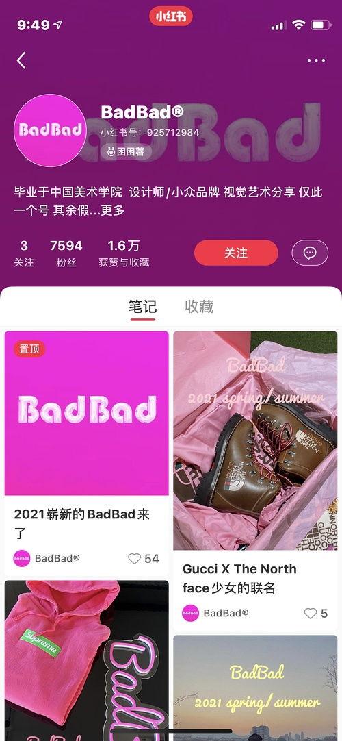 奥克兰网红黑料,真相与争议交织的网红人生